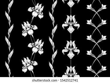 Iris flower, fleur-de-lis, flower-de-luce, flag. Seamless pattern, background. Black and white graphics. Vector illustration. In art nouveau style, vintage, old, retro style. In botanical style.