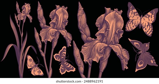 Iris flower and flying butterflies. Design set. Editable hand drawn illustration. Vector vintage engraving. Isolated on black background. 8 EPS