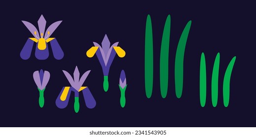 Iris Flower geometric icon set