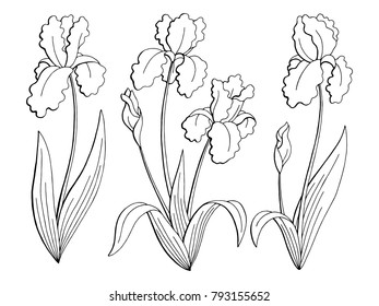 3,759 Black And White Single Stem Flower Drawings Images, Stock Photos ...