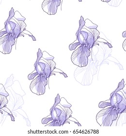 Iris flower graphic pattern violet on white background vector se