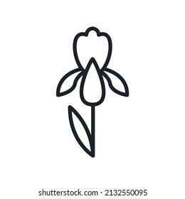 Iris flower icon. Garden flowers isolated vector icon