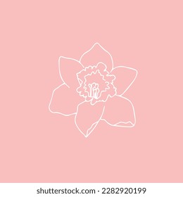iris flower. flower illustration. flower background