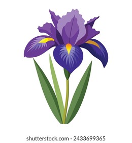 Iris Flower Illustration on White Background