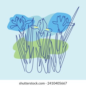 Iris flower or iridodictyum or iris reticulata vector illustration in simple minimal continuous outline line style. Nature blossom art for floral botanical. Minimal art flower on colored spots.