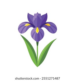 
Iris flower isolated flat vector illustration on white background