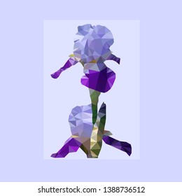  Iris Flower Isolated. Low poly. Vector illustration. Abstract image.