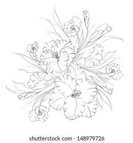 Iris flower isolated on white background. Vector illustration.