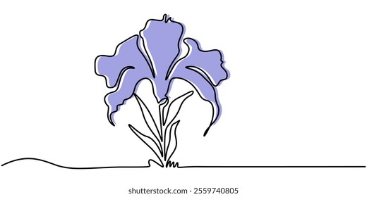 iris flower isolated on white, Iris flower isolated continuous line art flat vector illustration on white background, Iris flower in one line art drawing style. Black line sketch on white background.