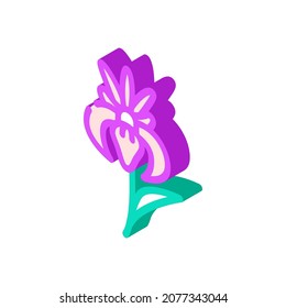 vector de icono isométrico de flor iris. signo de flor iris. ilustración de símbolo aislado