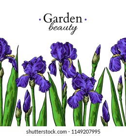 Iris flower and leaves border drawing. Vector hand drawn  floral seamless pattern. Garden bloom frame Botanical  Black ink sketch. Great for banner, invitations, greeting cards, decor