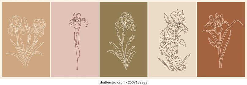 Iris línea de la flor de dibujo de arte. Dibujado a mano boceto de tinta negra. Diseño moderno para el tatuaje, invitación, logotipo, tarjetas, embalaje. Febrero mes de nacimiento Ilustración vectorial de flores en fondos neutrales.