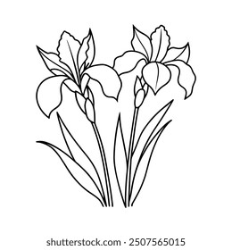 iris flower line art vector illustration