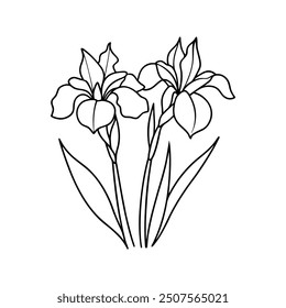 iris flower line art vector illustration