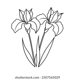 iris flower line art vector illustration