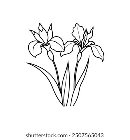 iris flower line art vector illustration