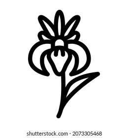iris flower line icon vector. iris flower sign. isolated contour symbol black illustration