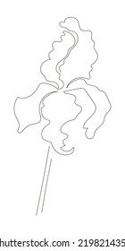 Iris. Blume im Linienstil. Stock-Vektorgrafik einzeln auf weißem Hintergrund.