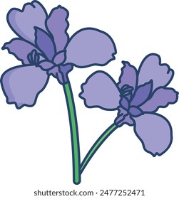 Iris flower linear color vector illustration