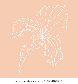 Iris flower. Minimalism card floral art design. Delicate vintage poster. Vector illustration for wedding invitations, social media post template, elegant wallpaper, banner background.