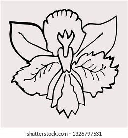 Iris flower on a light background. Sketch.
