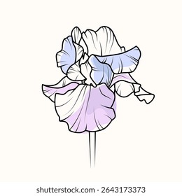 An iris flower on a light background. An object for creating a design. Vector illustration.
