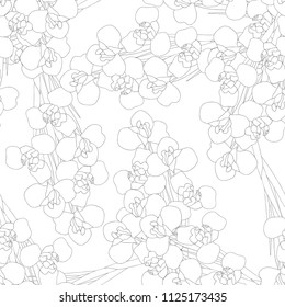Iris Flower on White Background. Vector Illustration.