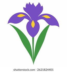 iris flower on white background