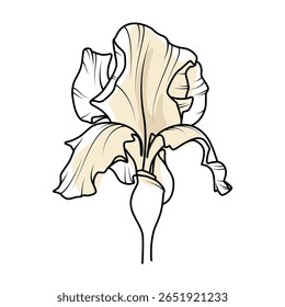 Uma flor de íris sobre um fundo branco. Um objeto para criar um design. Ilustração vetorial.

