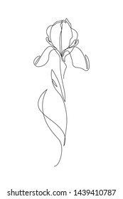 Iris Flower In One Line Art Drawing Style. Black Line Sketch On White Background. Vector Illustration