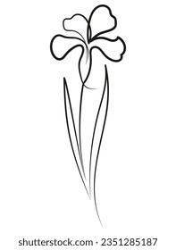 Iris Flower in One Line Art Drawing