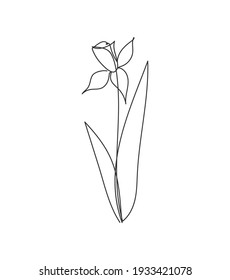 Iris Flower In One Line Drawing Style. Abstract Image Of A Silhouette Of A Flower.