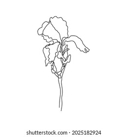 Flor de iris en un estilo lineal aislada en un fondo blanco. Arte continuo en un estilo elegante para impresiones, tatuajes, afiches, textiles, postales, etc. Ilustración vectorial de una hermosa flor de iris.