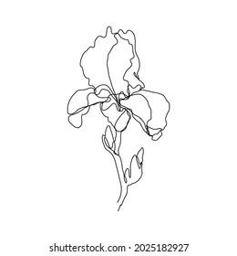 Iris flower in one line style isolated white background  Continuous art in an elegant style for prints  tattoos  posters  textiles  postcards  etc  Vector illustration beautiful iris flower 
