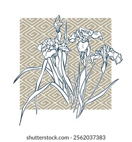 iris flower ornate pattern japanese chinese vector design background elements