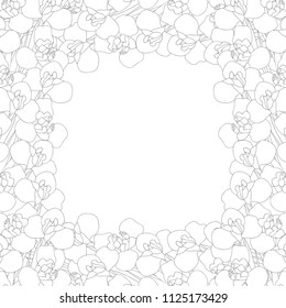 Iris Flower Outline Border on White Background. Vector Illustration.