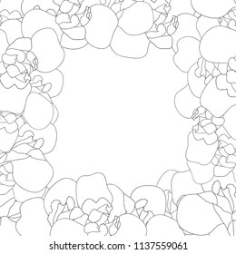 Iris Flower Outline Border on White Background. Vector Illustration.