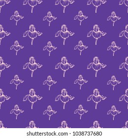 iris flower painted on lilac background, seamless pattern.