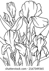 Iris flower, plant. Flower outline. Page outline of cartoon. 