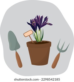 Flor de iris en una olla con herramientas de jardinería. Ilustración vectorial de alta calidad.