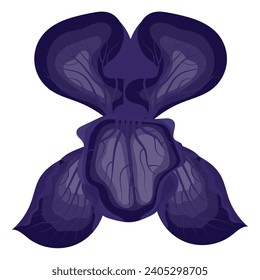 Iris flower purple. Vector illustration on white background.