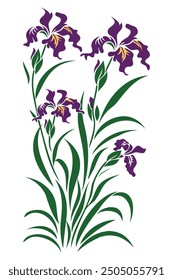 Iris Flower, Purple Flower Vector Illustration