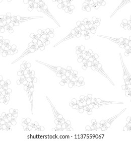Iris Flower Seamless Outline on White Background. Vector Illustration.