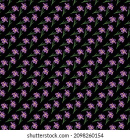 Iris flower Seamless Pattern Design with black background