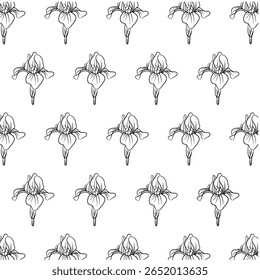 Flor de íris Padrão sem costura Mão desenhado vetor linha arte, Preto e branco Flor isolado em branco. Design bonito para têxteis, papel de parede, papel de embrulho e fundos