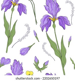 Iris flower seamless pattern on white background. Hand drawn floral elements repeating background. For cards, invitations, save the date cards