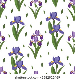 Iris flower seamless pattern. Vector clipart, illustration with isolated background.