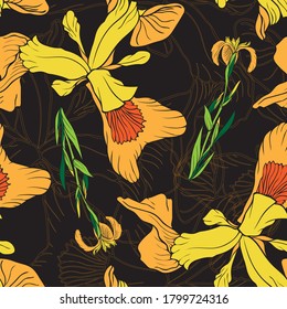 Iris flower. Seamless vector pattern with flowers. Hand drawing.