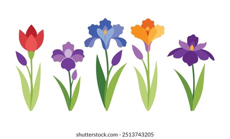 
Iris flower set isolated flat vector illustration on white background