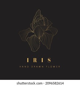 Iris Flower Signs or Logo Templates. Retro Floral Golden Illustration with Classy Typography. Feminine Logo. Modern Logo Template for florist, photographer, fashion blogger, design studio.